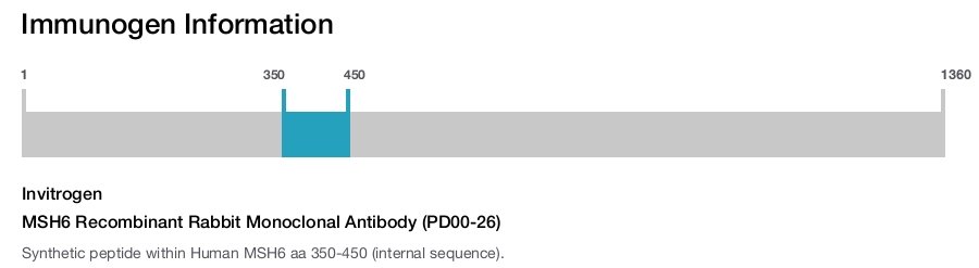 MSH6 Recombinant Rabbit Monoclonal Antibody (PD00-26)