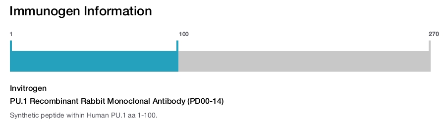 PU.1 Recombinant Rabbit Monoclonal Antibody (PD00-14)
