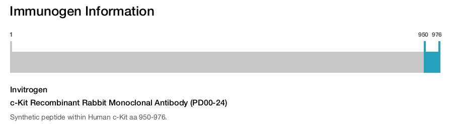c-Kit Recombinant Rabbit Monoclonal Antibody (PD00-24)