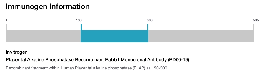 Placental Alkaline Phosphatase Recombinant Rabbit Monoclonal Antibody (PD00-19)