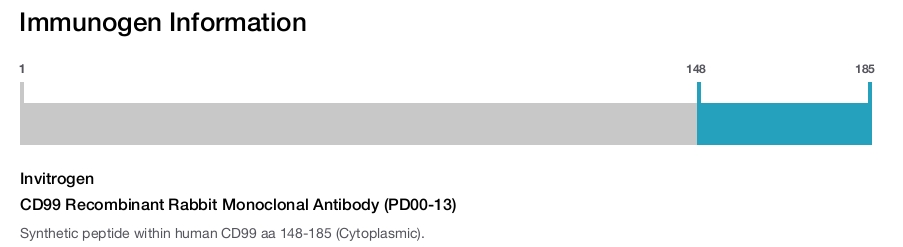 CD99 Recombinant Rabbit Monoclonal Antibody (PD00-13)