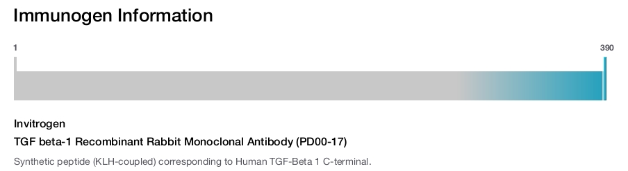 TGF beta-1 Recombinant Rabbit Monoclonal Antibody (PD00-17)