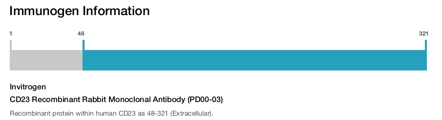 CD23 Recombinant Rabbit Monoclonal Antibody (PD00-03)
