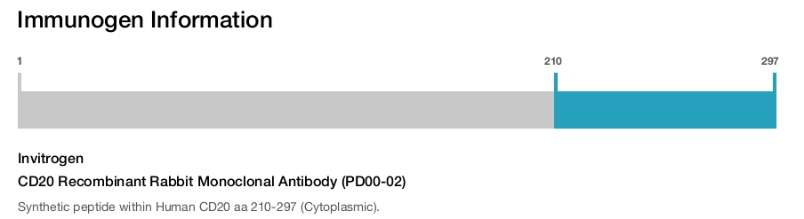 CD20 Recombinant Rabbit Monoclonal Antibody (PD00-02)