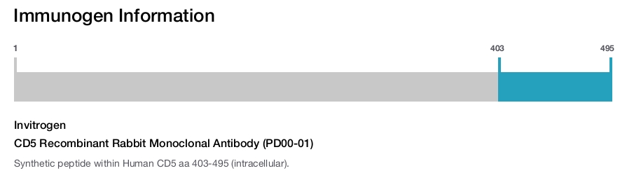 CD5 Recombinant Rabbit Monoclonal Antibody (PD00-01)