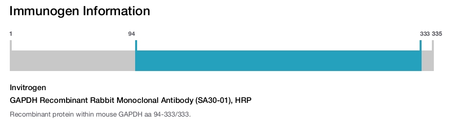 GAPDH Recombinant Rabbit Monoclonal Antibody (SA30-01), HRP