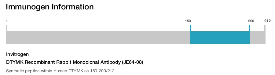 DTYMK Recombinant Rabbit Monoclonal Antibody (JE64-08)