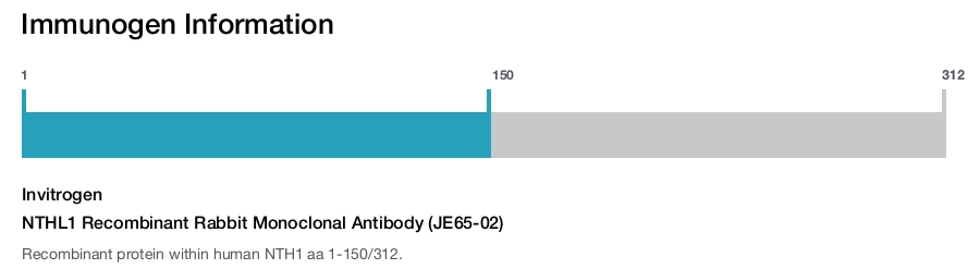 NTHL1 Recombinant Rabbit Monoclonal Antibody (JE65-02)