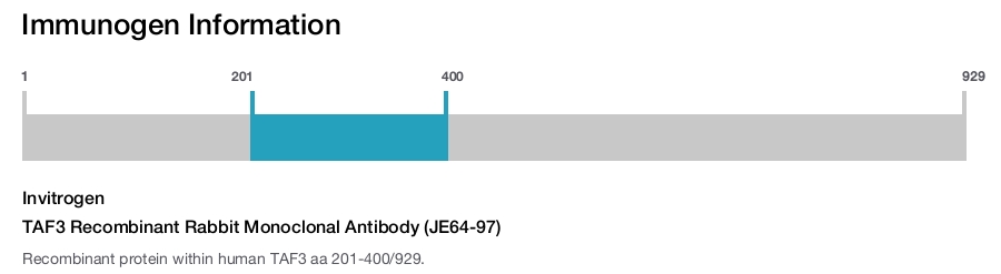 TAF3 Recombinant Rabbit Monoclonal Antibody (JE64-97)