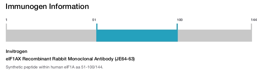 eIF1AX Recombinant Rabbit Monoclonal Antibody (JE64-63)