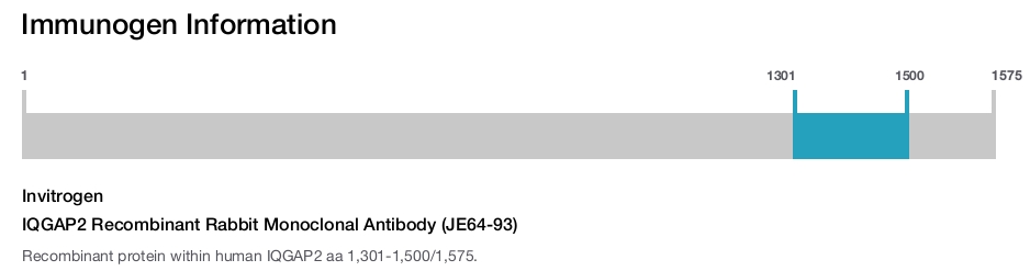 IQGAP2 Recombinant Rabbit Monoclonal Antibody (JE64-93)