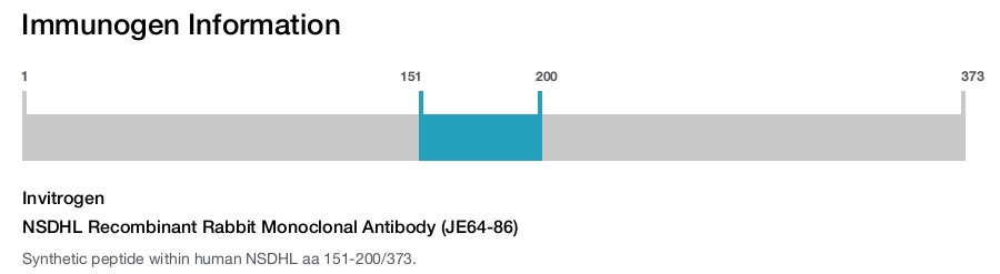 NSDHL Recombinant Rabbit Monoclonal Antibody (JE64-86)