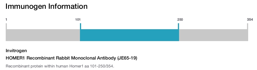 HOMER1 Recombinant Rabbit Monoclonal Antibody (JE65-19)