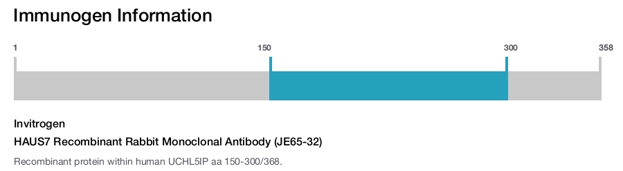 HAUS7 Recombinant Rabbit Monoclonal Antibody (JE65-32)