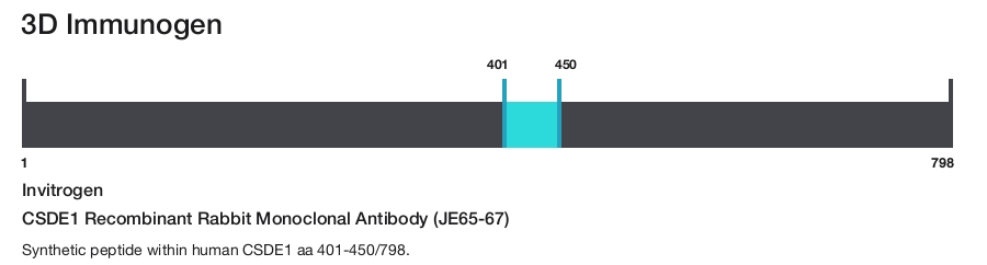 CSDE1 Recombinant Rabbit Monoclonal Antibody (JE65-67)