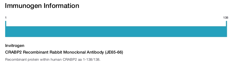 CRABP2 Recombinant Rabbit Monoclonal Antibody (JE65-66)