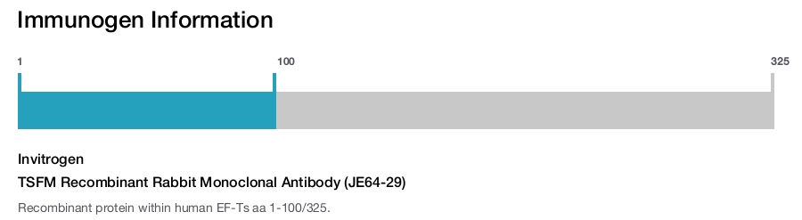 TSFM Recombinant Rabbit Monoclonal Antibody (JE64-29)