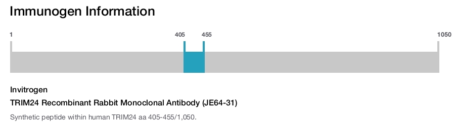 TRIM24 Recombinant Rabbit Monoclonal Antibody (JE64-31)