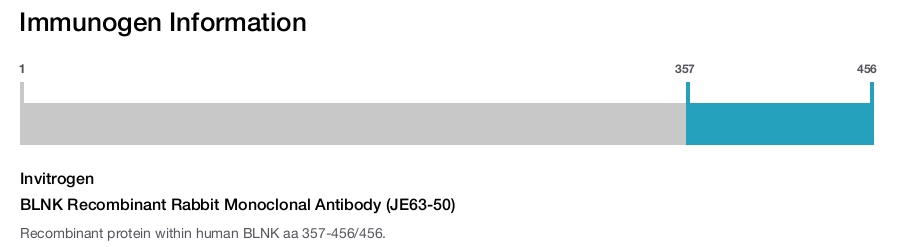 BLNK Recombinant Rabbit Monoclonal Antibody (JE63-50)