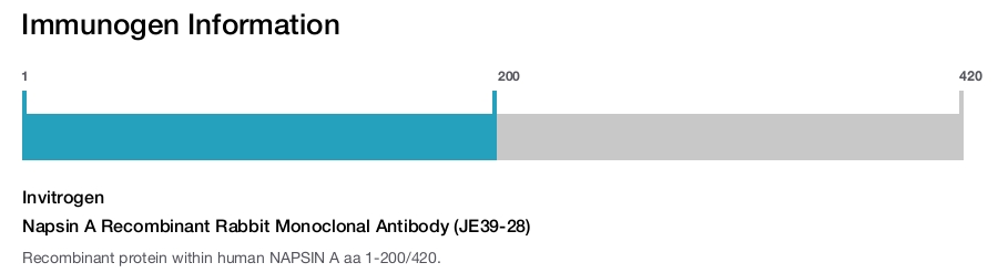 Napsin A Recombinant Rabbit Monoclonal Antibody (JE39-28)