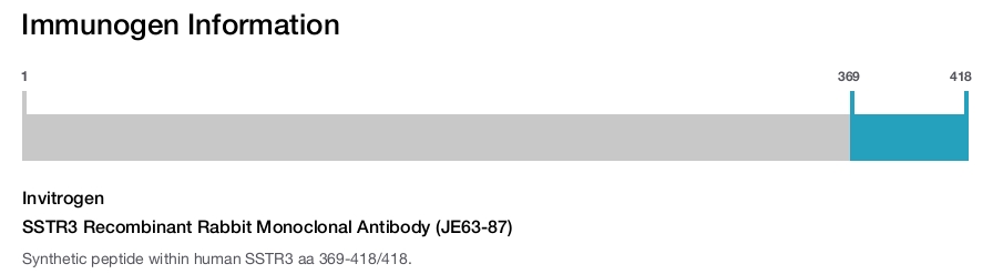 SSTR3 Recombinant Rabbit Monoclonal Antibody (JE63-87)