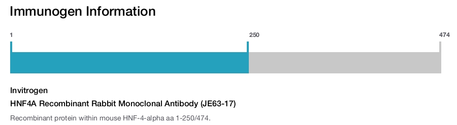HNF4A Recombinant Rabbit Monoclonal Antibody (JE63-17)