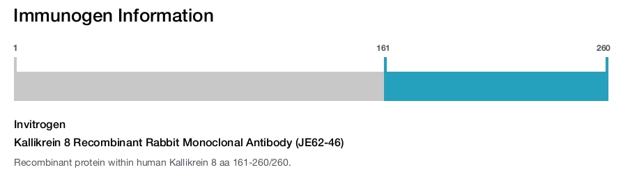 Kallikrein 8 Recombinant Rabbit Monoclonal Antibody (JE62-46)