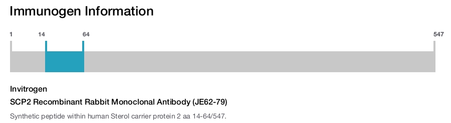SCP2 Recombinant Rabbit Monoclonal Antibody (JE62-79)