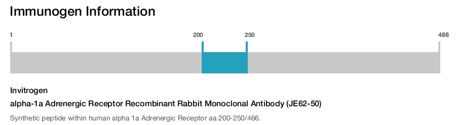 alpha-1a Adrenergic Receptor Recombinant Rabbit Monoclonal Antibody (JE62-50)