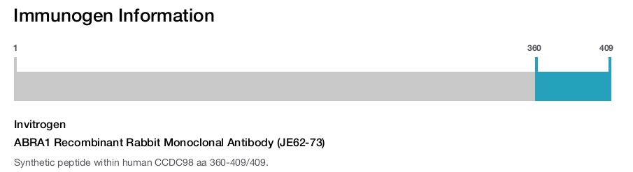 ABRA1 Recombinant Rabbit Monoclonal Antibody (JE62-73)