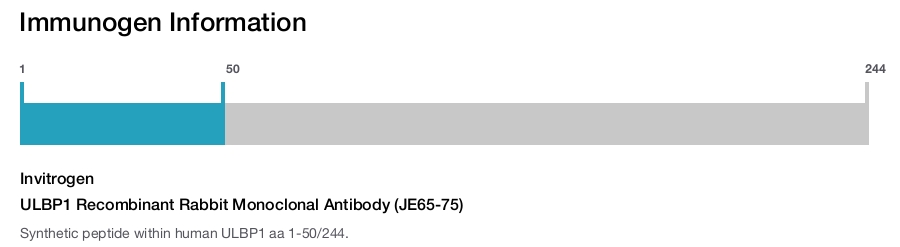 ULBP1 Recombinant Rabbit Monoclonal Antibody (JE65-75)