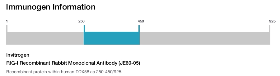 RIG-I Recombinant Rabbit Monoclonal Antibody (JE60-05)