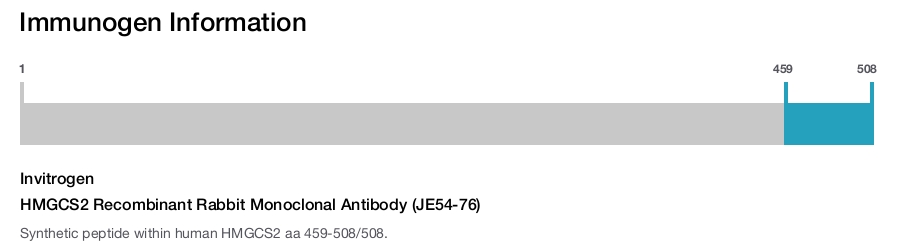 HMGCS2 Recombinant Rabbit Monoclonal Antibody (JE54-76)