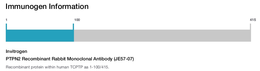 PTPN2 Recombinant Rabbit Monoclonal Antibody (JE57-07)