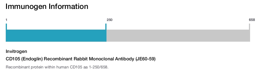 CD105 (Endoglin) Recombinant Rabbit Monoclonal Antibody (JE60-59)