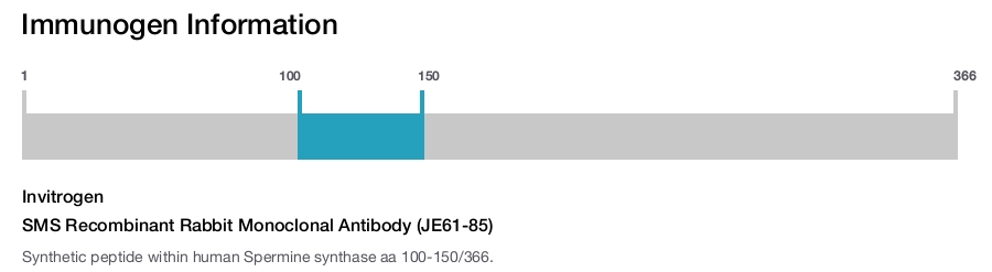 SMS Recombinant Rabbit Monoclonal Antibody (JE61-85)