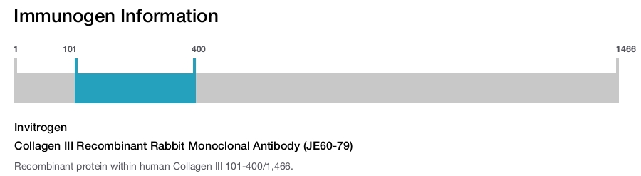 Collagen III Recombinant Rabbit Monoclonal Antibody (JE60-79)
