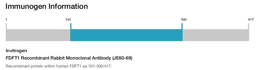 FDFT1 Recombinant Rabbit Monoclonal Antibody (JE60-69)