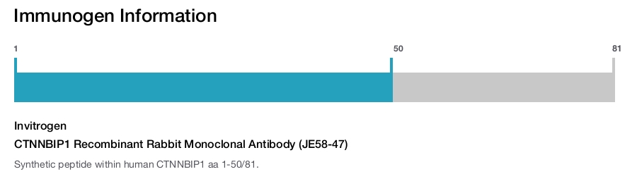 CTNNBIP1 Recombinant Rabbit Monoclonal Antibody (JE58-47)