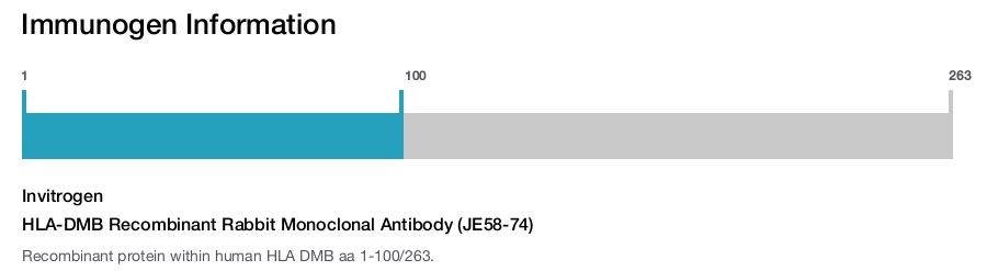 HLA-DMB Recombinant Rabbit Monoclonal Antibody (JE58-74)