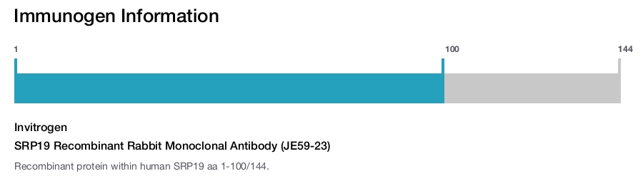 SRP19 Recombinant Rabbit Monoclonal Antibody (JE59-23)