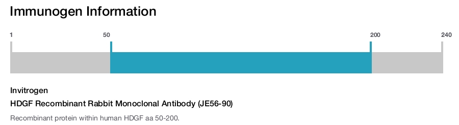HDGF Recombinant Rabbit Monoclonal Antibody (JE56-90)