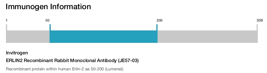 ERLIN2 Recombinant Rabbit Monoclonal Antibody (JE57-03)