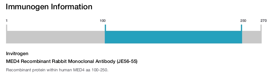 MED4 Recombinant Rabbit Monoclonal Antibody (JE56-55)