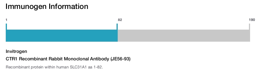 CTR1 Recombinant Rabbit Monoclonal Antibody (JE56-93)