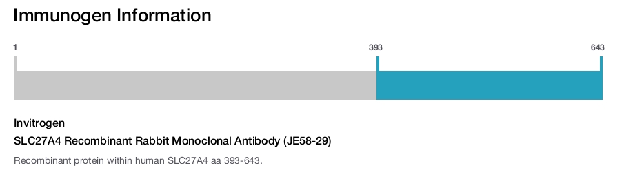 SLC27A4 Recombinant Rabbit Monoclonal Antibody (JE58-29)