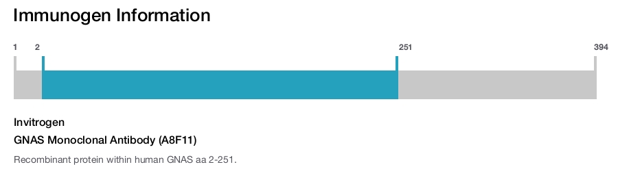 GNAS Monoclonal Antibody (A8F11)