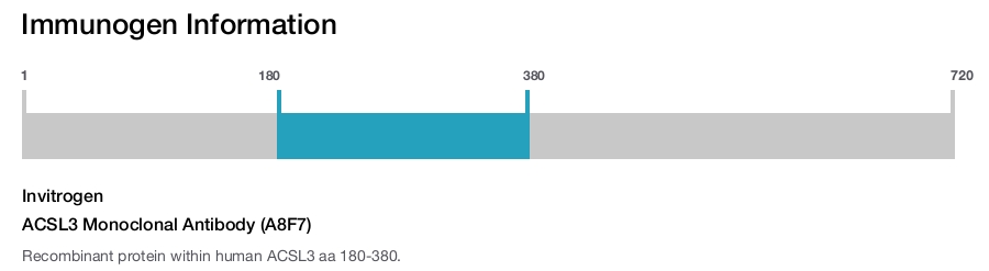 ACSL3 Monoclonal Antibody (A8F7)