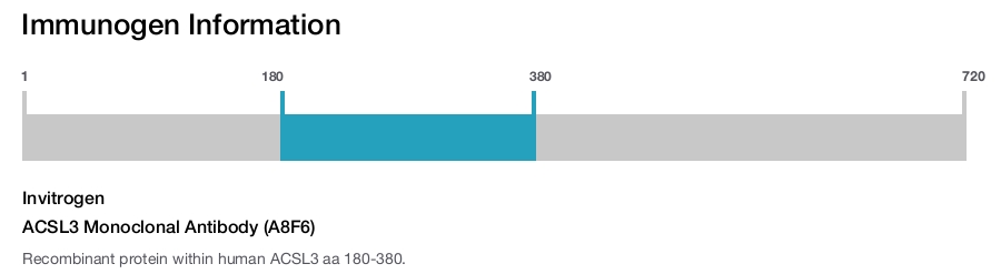 ACSL3 Monoclonal Antibody (A8F6)