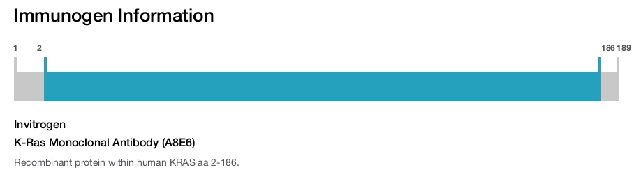 K-Ras Monoclonal Antibody (A8E6)